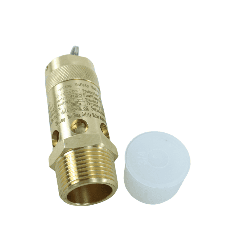 阿特拉斯1202574900安全阀 