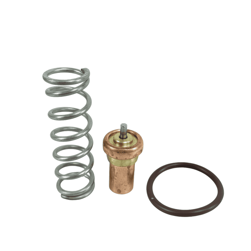 英格索兰 22393326 温控阀组件