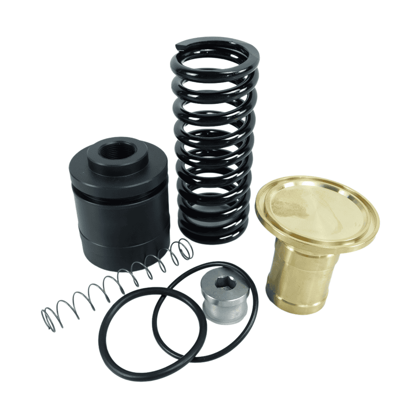 博格 223090467P 最小压力阀维修包