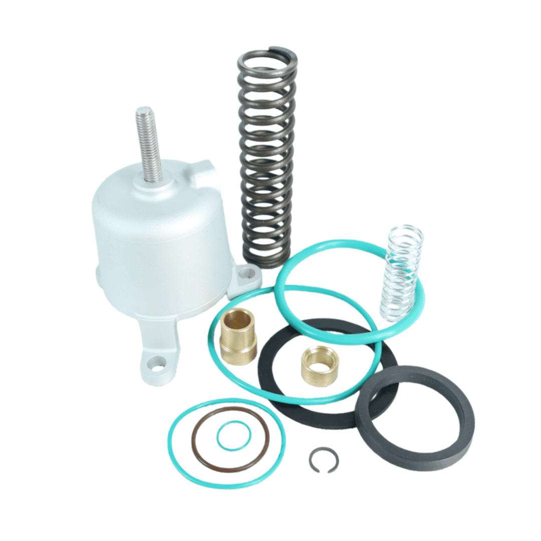 格南登福 89555209 进气阀维修包