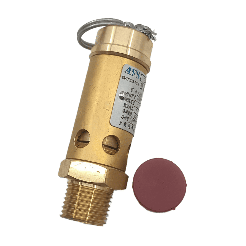 英格索兰 39588017 安全阀